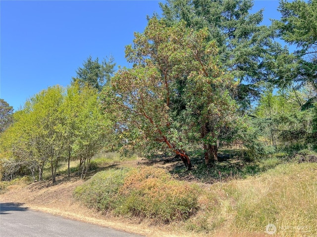 121 Combs St, Port Townsend, WA 98368 - photo 5