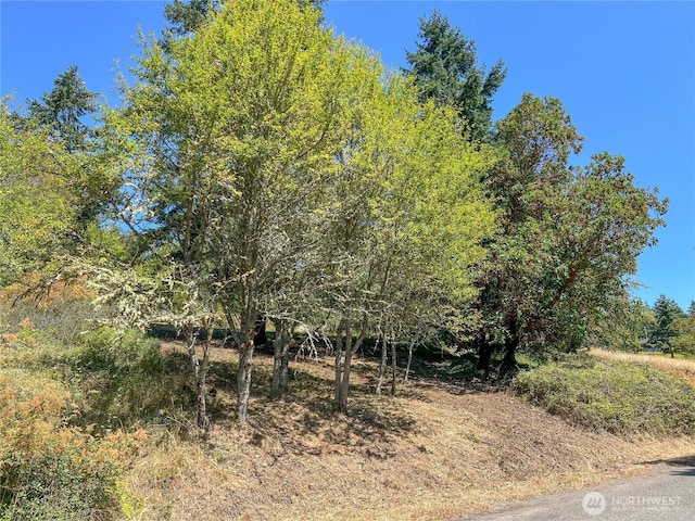 121 Combs St, Port Townsend, WA 98368 - photo 6