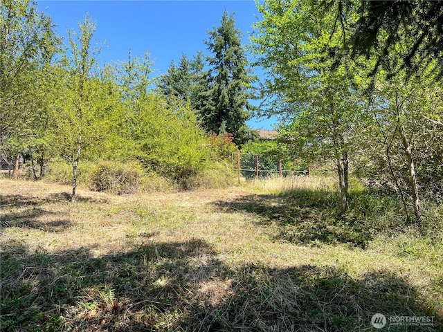 121 Combs St, Port Townsend, WA 98368 - photo 9