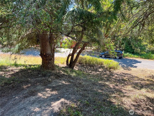 121 Combs St, Port Townsend, WA 98368 - photo 12