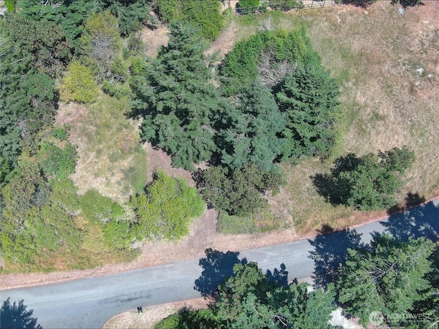 121 Combs St, Port Townsend, WA 98368 - photo 13