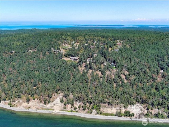 121 Combs St, Port Townsend, WA 98368 - photo 16