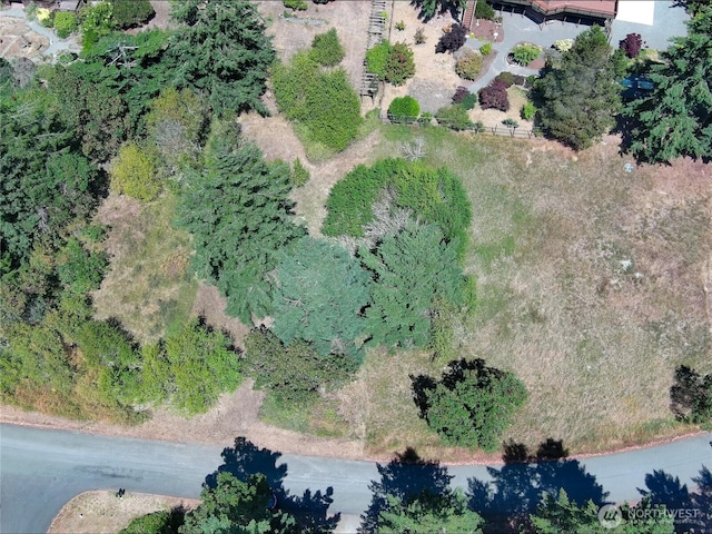 121 Combs St, Port Townsend, WA 98368 - photo 18