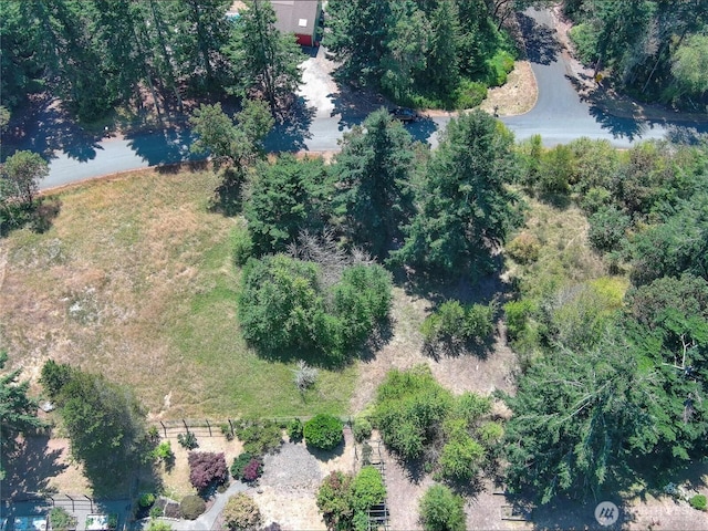 121 Combs St, Port Townsend, WA 98368 - photo 19