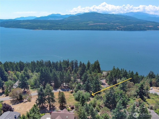 121 Combs St, Port Townsend, WA 98368 - photo 22