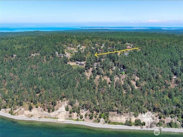 121 Combs St, Port Townsend, WA 98368 - photo 23