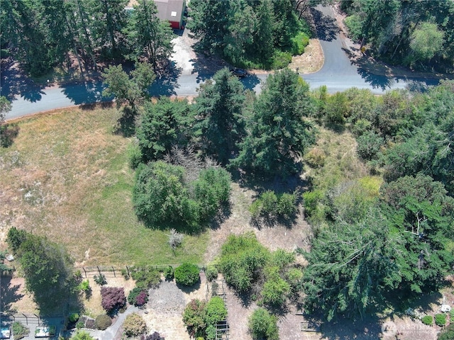 121 Combs St, Port Townsend, WA 98368 - photo 25