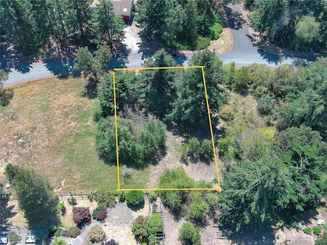 121 Combs St, Port Townsend, WA 98368 - photo 27