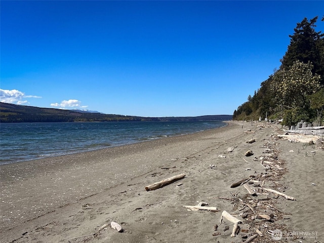 121 Combs St, Port Townsend, WA 98368 - photo 30