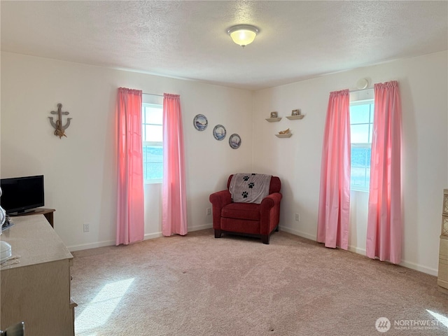 15977 Laney Bros Rd E, Odessa, WA 99159 - photo 12