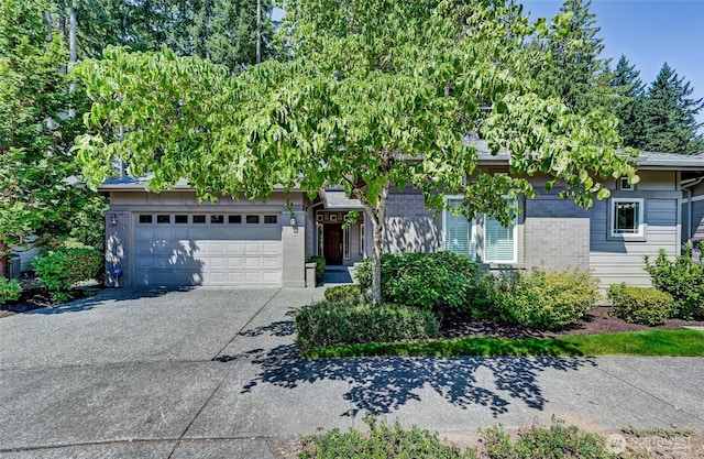 12545 237th Way NE, Redmond, WA 98053 - photo 1