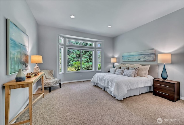 12545 237th Way NE, Redmond, WA 98053 - photo 20