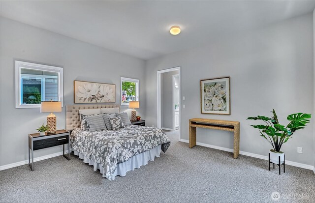 12545 237th Way NE, Redmond, WA 98053 - photo 27