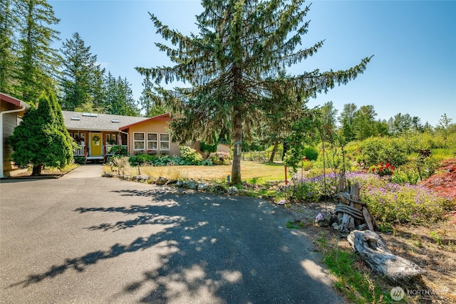 5933 Everson Goshen Rd, Bellingham, WA 98226 - photo 7