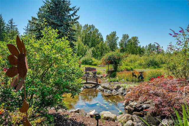 5933 Everson Goshen Rd, Bellingham, WA 98226 - photo 5