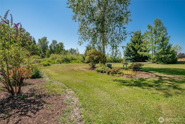 5933 Everson Goshen Rd, Bellingham, WA 98226 - photo 8