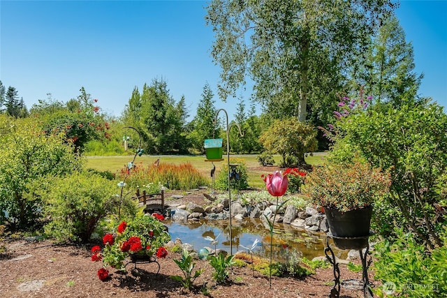 5933 Everson Goshen Rd, Bellingham, WA 98226 - photo 4