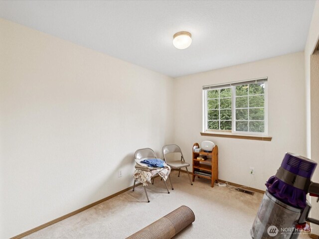 11607 25th St SE, Lake Stevens, WA 98258 - photo 12