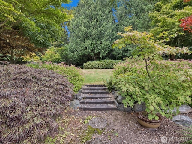 11607 25th St SE, Lake Stevens, WA 98258 - photo 24