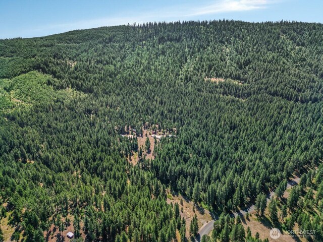 338 Lakeside Rd, Glenwood, WA 98619 - photo 29