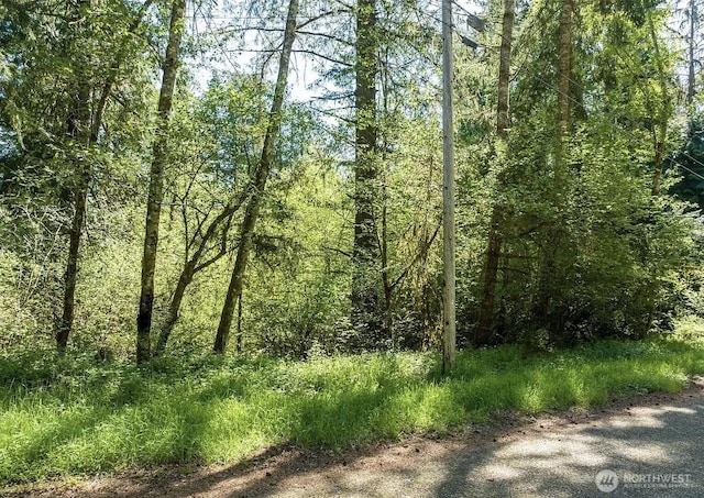 10515 Edgewood Dr, Anderson Island, WA 98303 - photo 1
