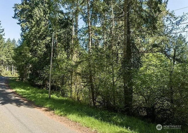 10515 Edgewood Dr, Anderson Island, WA 98303 - photo 2
