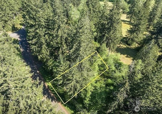 10515 Edgewood Dr, Anderson Island, WA 98303 - photo 3
