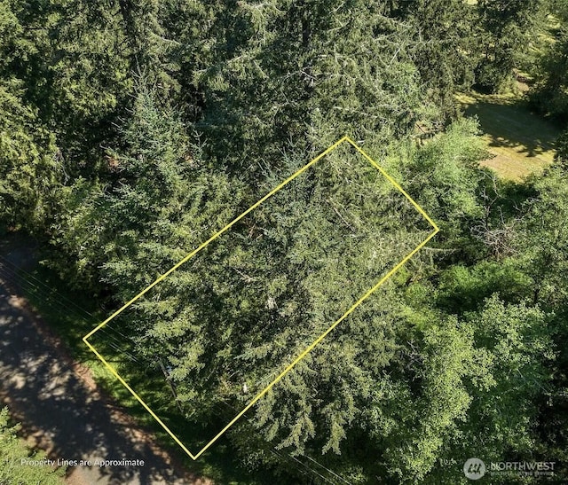 10515 Edgewood Dr, Anderson Island, WA 98303 - photo 4