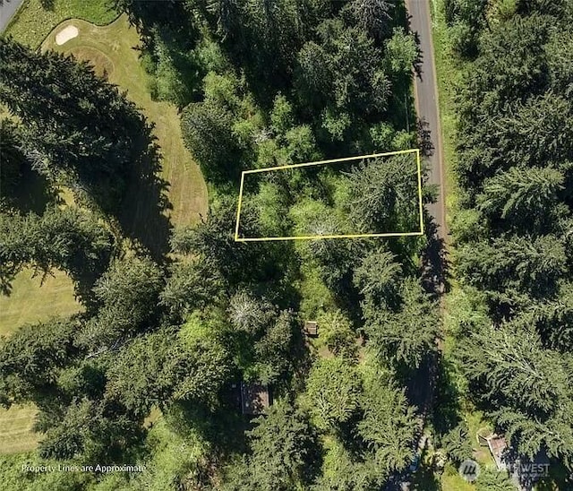 10515 Edgewood Dr, Anderson Island, WA 98303 - photo 5