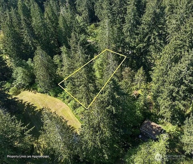 10515 Edgewood Dr, Anderson Island, WA 98303 - photo 6