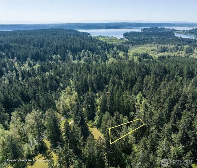 10515 Edgewood Dr, Anderson Island, WA 98303 - photo 7
