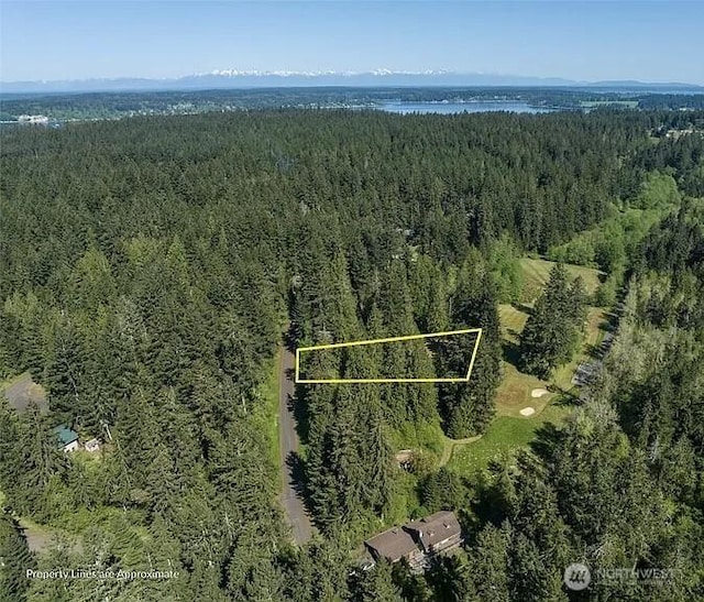 10515 Edgewood Dr, Anderson Island, WA 98303 - photo 8