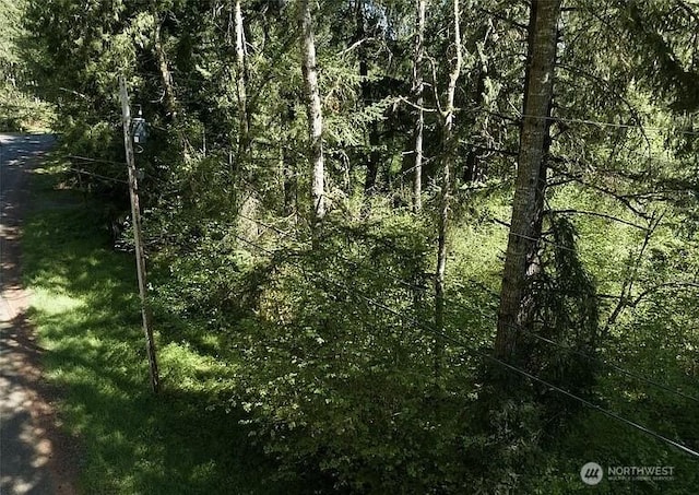 10515 Edgewood Dr, Anderson Island, WA 98303 - photo 9