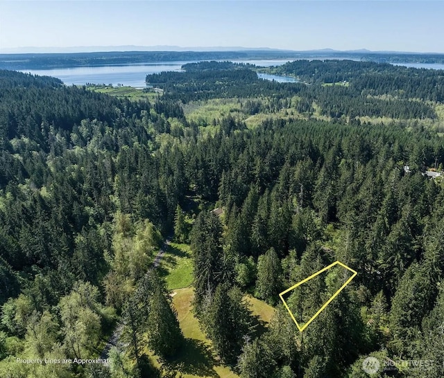 10515 Edgewood Dr, Anderson Island, WA 98303 - photo 10