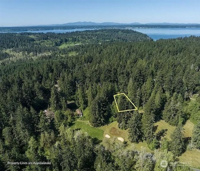 10515 Edgewood Dr, Anderson Island, WA 98303 - photo 11