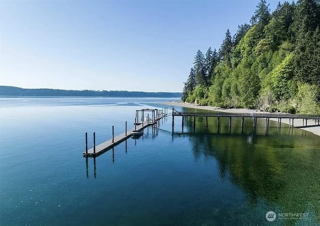 10515 Edgewood Dr, Anderson Island, WA 98303 - photo 12