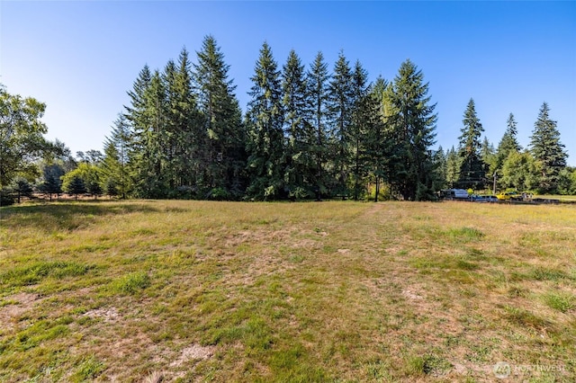 20469 Echo Hill Rd, Sedro Woolley, WA 98284 - photo 10
