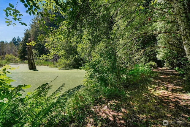 9120 Johnson Rd, Anderson Island, WA 98303 - photo 38