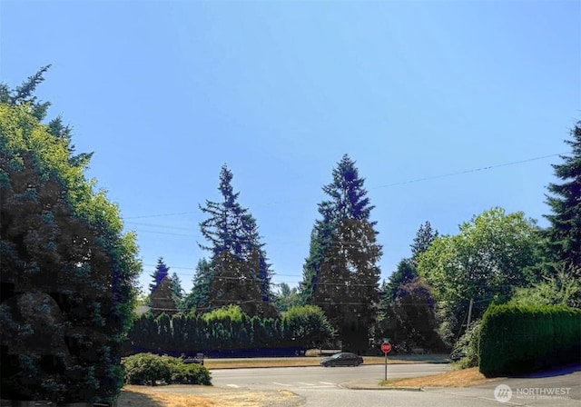 912 Harrisonn Ave, Snohomish, WA 98290 - photo 22