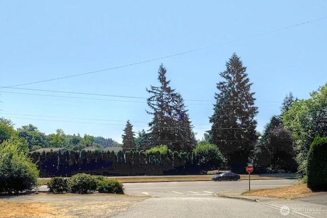 912 Harrisonn Ave, Snohomish, WA 98290 - photo 23