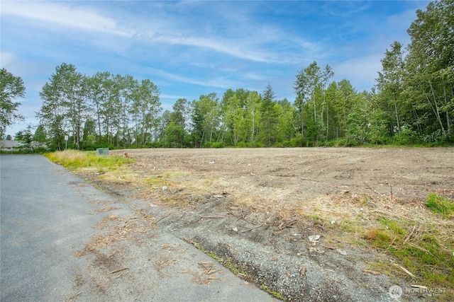 1300 G St, Blaine, WA 98230 - photo 6
