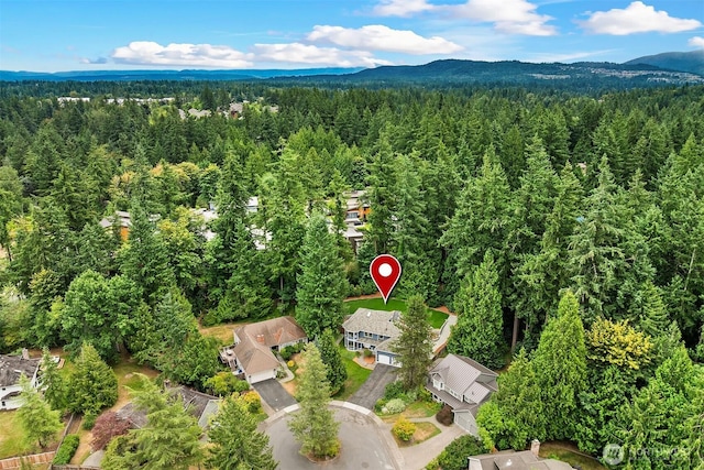 3055 218th Ave SE, Sammamish, WA 98075 - photo 38