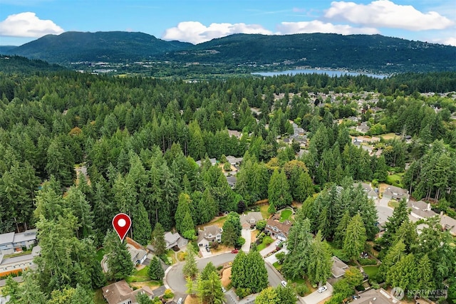 3055 218th Ave SE, Sammamish, WA 98075 - photo 39