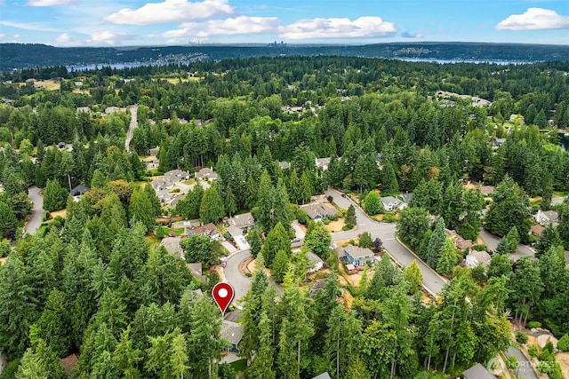 3055 218th Ave SE, Sammamish, WA 98075 - photo 40