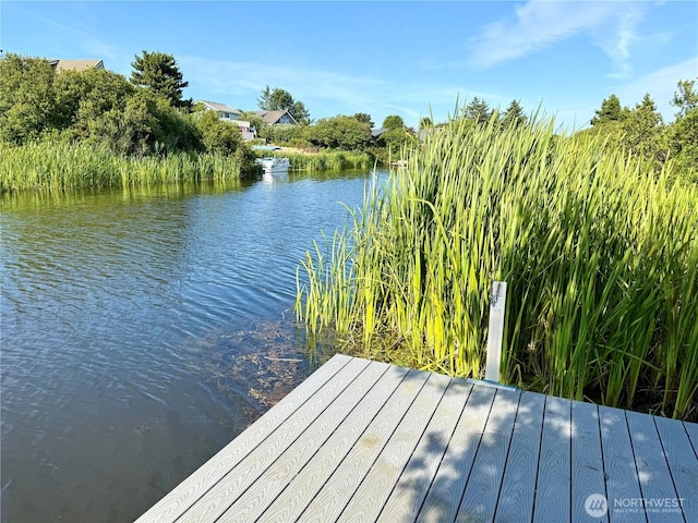 358 N Butterclam St SW, Ocean Shores, WA 98569 - photo 3