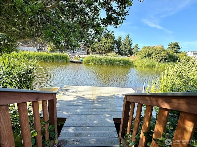 358 N Butterclam St SW, Ocean Shores, WA 98569 - photo 36