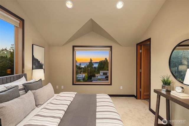 9007 24th Ave NW, Seattle, WA 98117 - photo 29