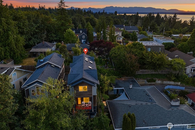 9007 24th Ave NW, Seattle, WA 98117 - photo 38