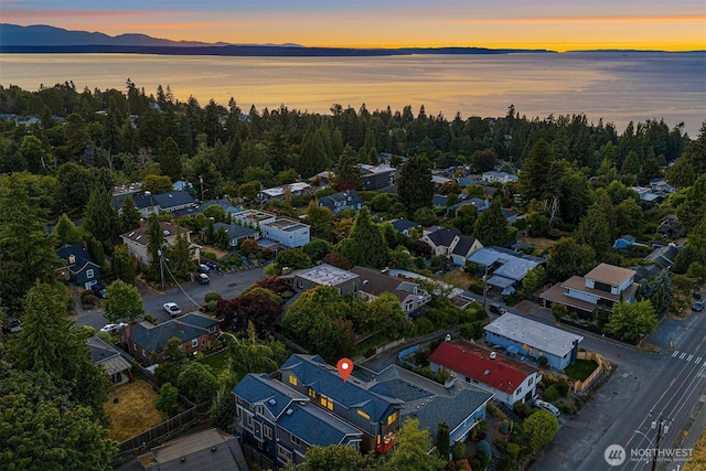 9007 24th Ave NW, Seattle, WA 98117 - photo 40