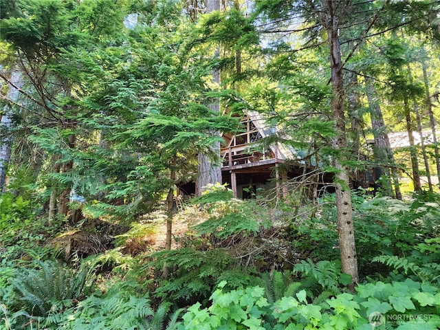 102 Forest Ln, Packwood, WA 98361 - photo 26